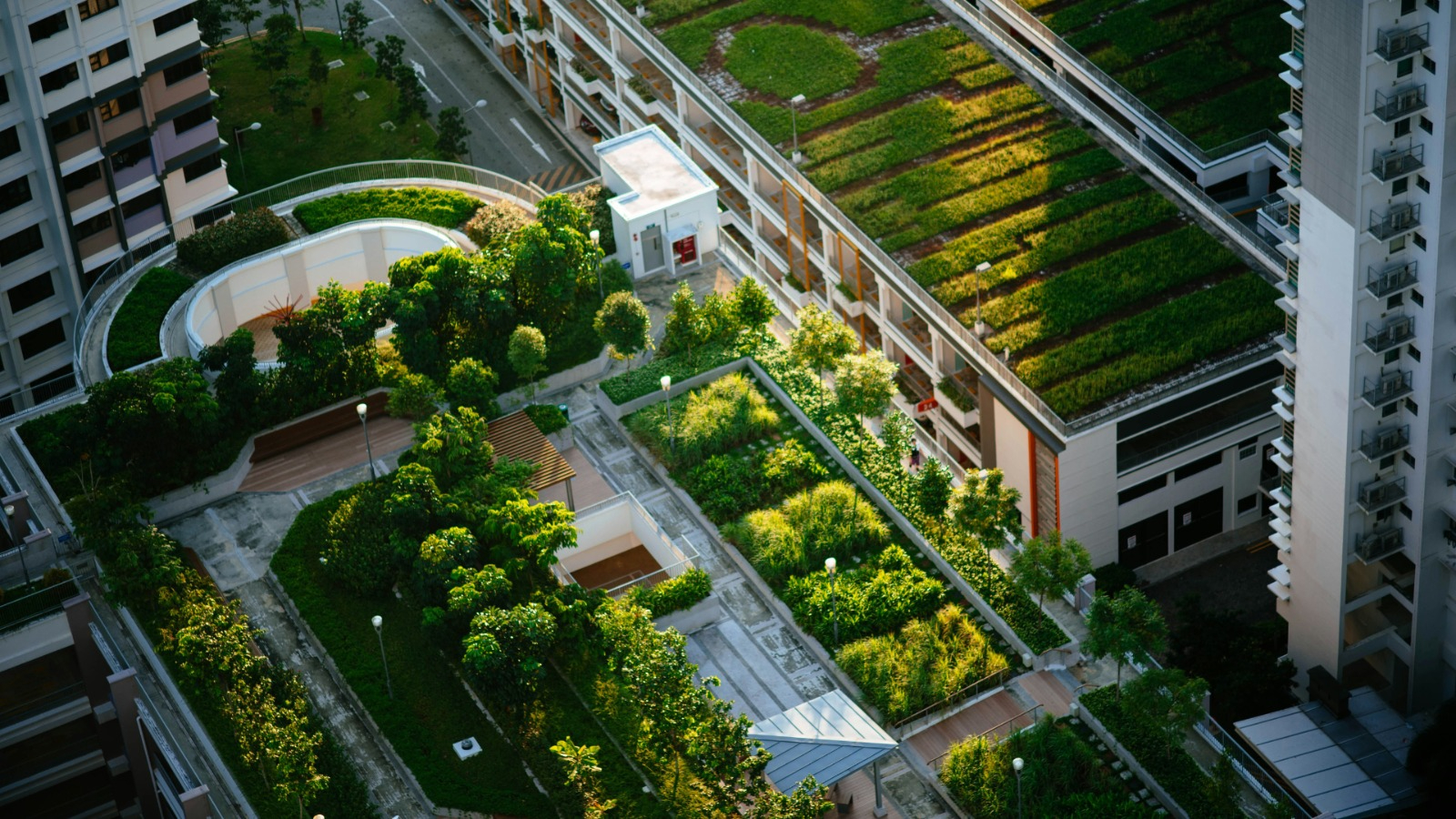Theme 2: Urban education, fair and sustainable cities, and participation