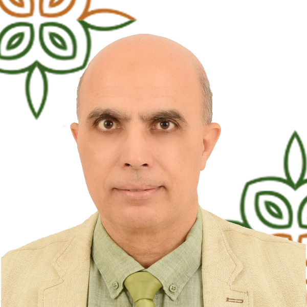 headshot of Mansour Sallam